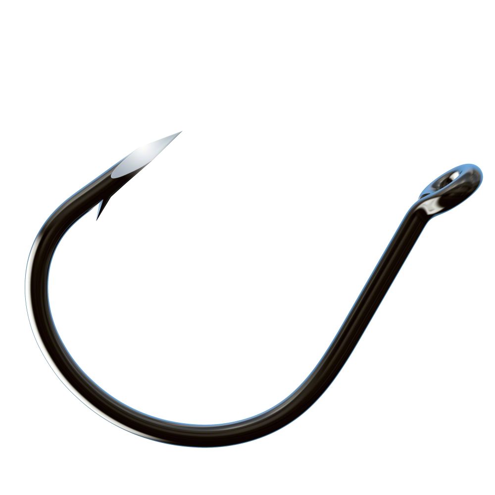 Wacky Worm Hooks 6.28