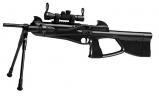 Air Guns