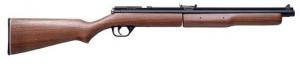 Benjamin Sheridan .22 Caliber Pump Pellet Rifle w/Black Fini