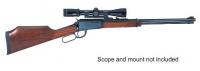 Henry Varmint Express .17 HMR with scope Mount