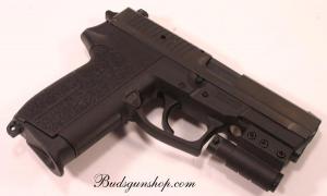 Sig Sauer 2022 9mm Night Sights 2 Grips w/Rail Mounted Laser