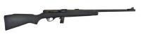 API M20P 22LR 21 BLK WOOD 10