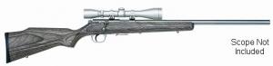 Marlin 17HMR BOLT HB SS 4&7 RD LAM