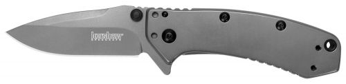 Kershaw Cryo 2.75 Drop Point Plain TiCN 8Cr13MoV SS TiCN Gray Stainless Steel Handle Folding