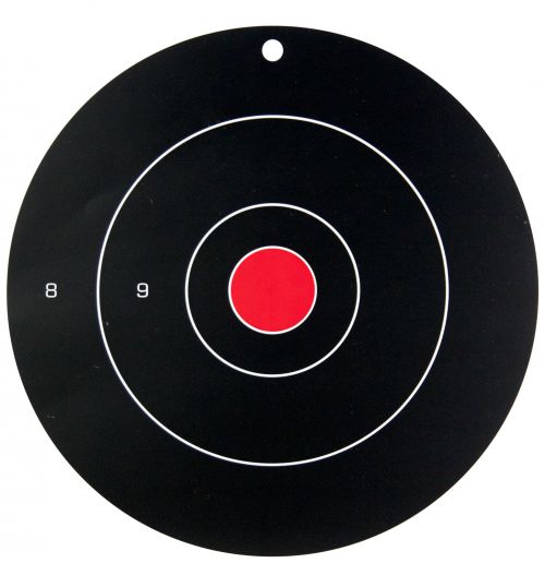 Birchwood Casey Dirty Bird Hanging Tagboard 12 Bullseye Black/Red 100 Per Pack