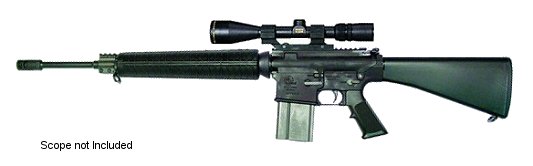 Armalite 10 + 1 308 Win. Tactical Rifle/20 Black Barrel/Bla