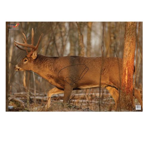 Birchwood Casey EZE-Scorer Paper 23 x 35 Whitetail Deer 2 Per Pack