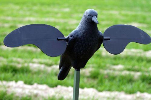 Mojo Mojo Crow Decoy