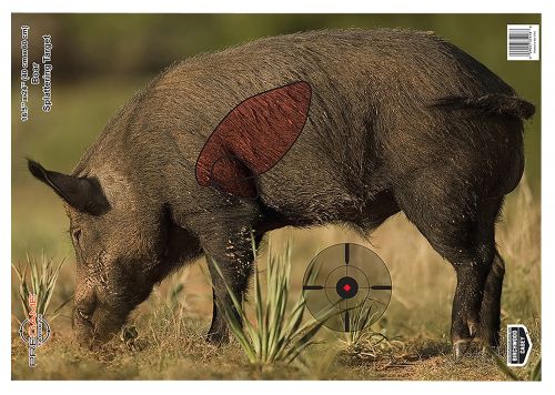 BIR PRGM 16 5X24 BOAR 3PK