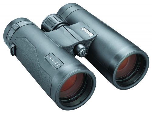 Bushnell Engage EDX 8x 42mm Binocular