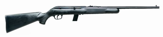 Savage 10 + 1 22LR/Blue Barrel/Black Synthetic Stock/Red Dot
