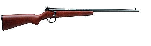 Stevens Cadet Youth .22 Short Bolt-Action Single-Shot Rimfire Rifle 