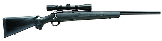 Howa-Legacy 243 VARMINT & LEU 4-12