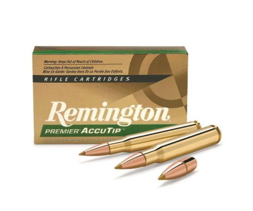 Remington .30-06 Springfield 180 Grain Premier AccuTip