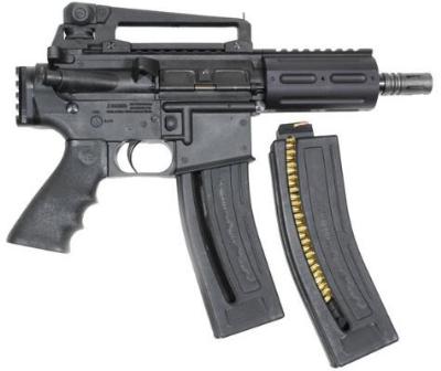 Chiappa M4-22 PISTOL W/2 28RD MAGS