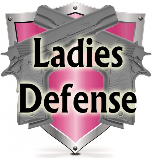 Ladies Personal Defense Training Course