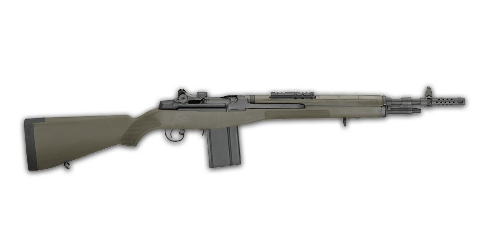 Springfield Armory M1A 30-30 Winchester Scout Green Stock