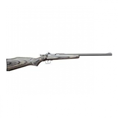 CHIPMUNK .22 LR  STD Black LAM Stainless Steel