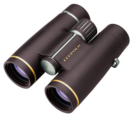 Leupold GRING 10X42HD CF ROOF WP