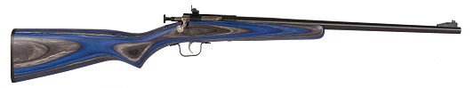 Crickett .22 LR Single Round w/Blued Barrel & Blue Lam