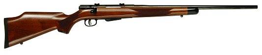 Savage 25 classic 204 Ruger