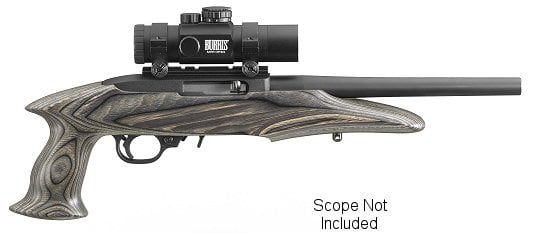Ruger .22 LR CHARGER 10IN