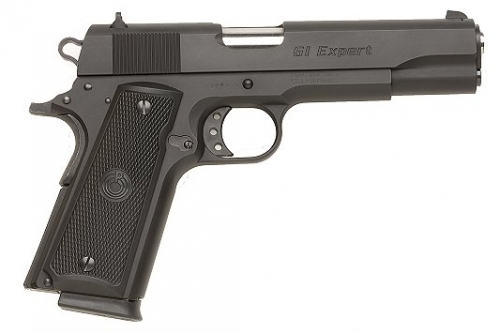 Para Ordnance GI Expert 45acp