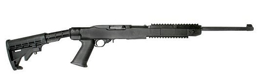 Ruger 10 + 1 Round .22 LR w/Blue Finish/Tapco Stock