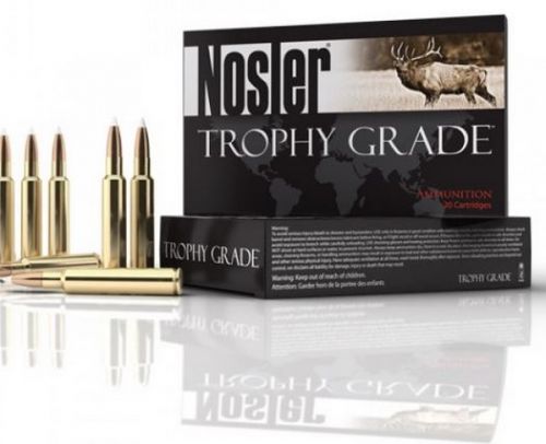 Nosler 375 H&H Mag 260 Grain Partition