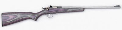 Crickett Single Round .22 LR w/Stainless Barrel/Purple