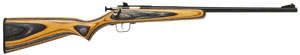 Crickett Single-Shot 22LR Bolt Action Rifle