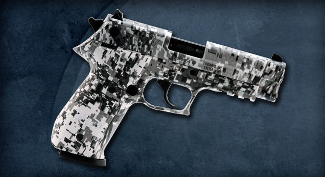 SIG MOSQUITO .22 LR WNTRDIGI