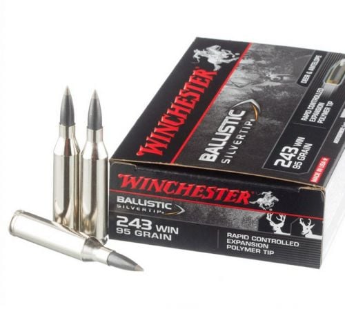 Winchester Silvertip Rapid Controlled Expansion Polymer 243 Winchester Ammo 20 Round Box