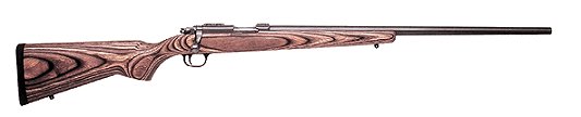 Ruger 77/22 .22 WMR Bolt-Action Rifle