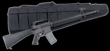 ELITE CASE AR15 M16 41 BLK W/MAG POUCHES