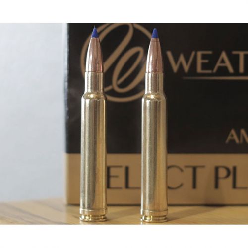 WBY AMMO 340WBY 250GR INTERLOCK