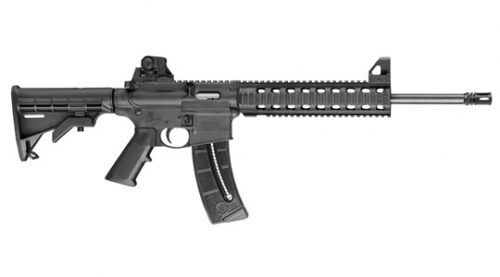 Smith & Wesson M&P 15 .22 LR