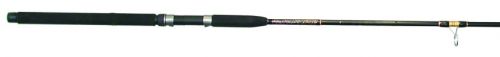 Master Blackfin Spin Rod, 7