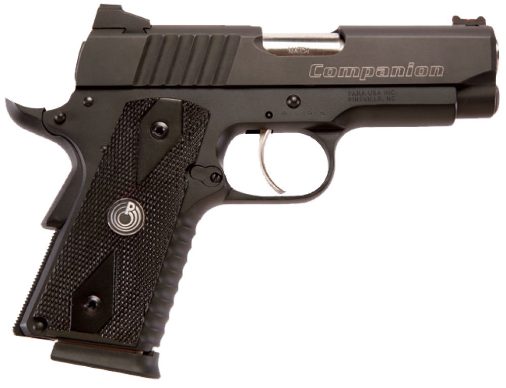Para Carry Safe Companion 45 ACP 3.5