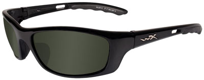 Wiley X Eyewear P17 P-17 Safety Glasses Gloss Black/Pol
