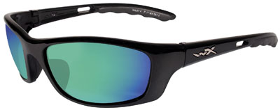 Wiley X Eyewear P17GM P-17 Safety Glasses Gloss Black/Pol