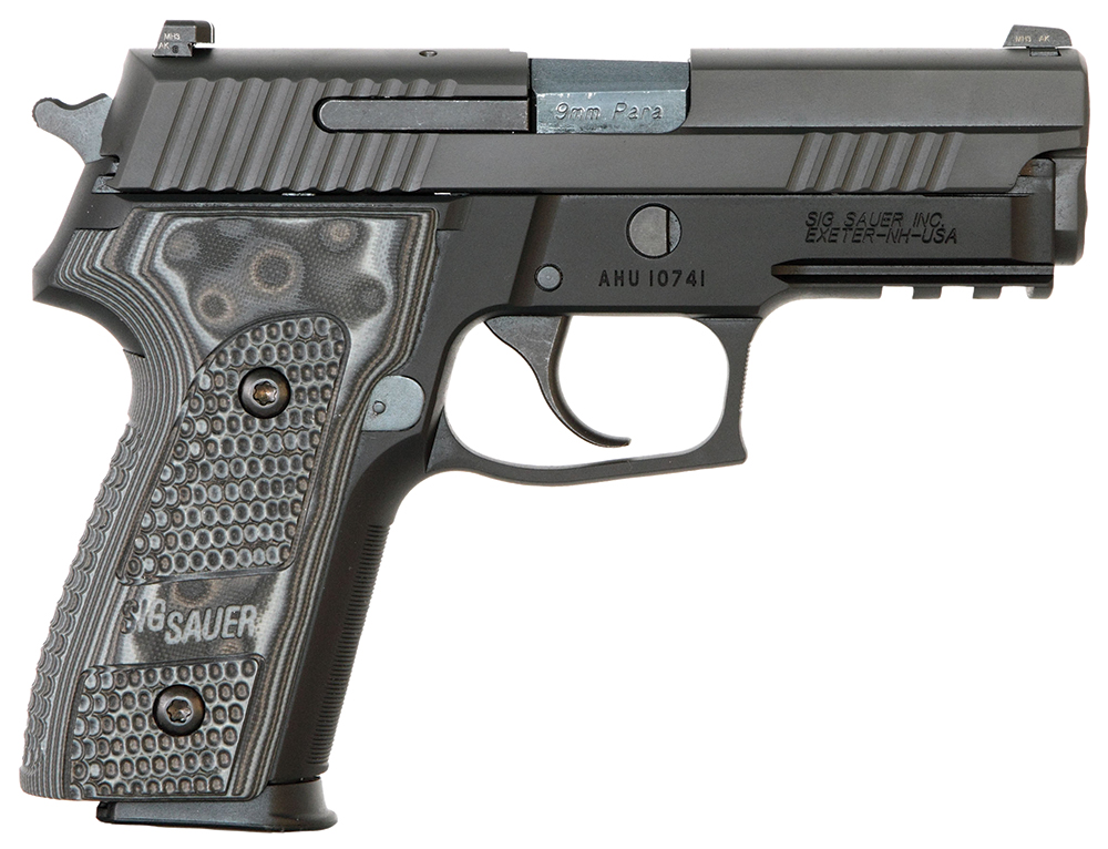 Sig Sauer E29R-9-XTM-BLKGRY P229 Extreme 15+1 9mm 3.9