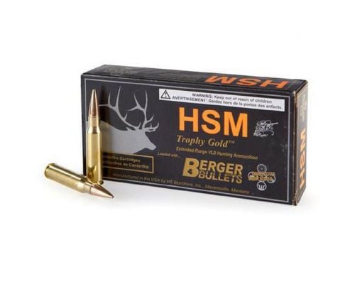 HSM Trophy Gold 243 Winchester Boat Tail Hollow Point 95 GR