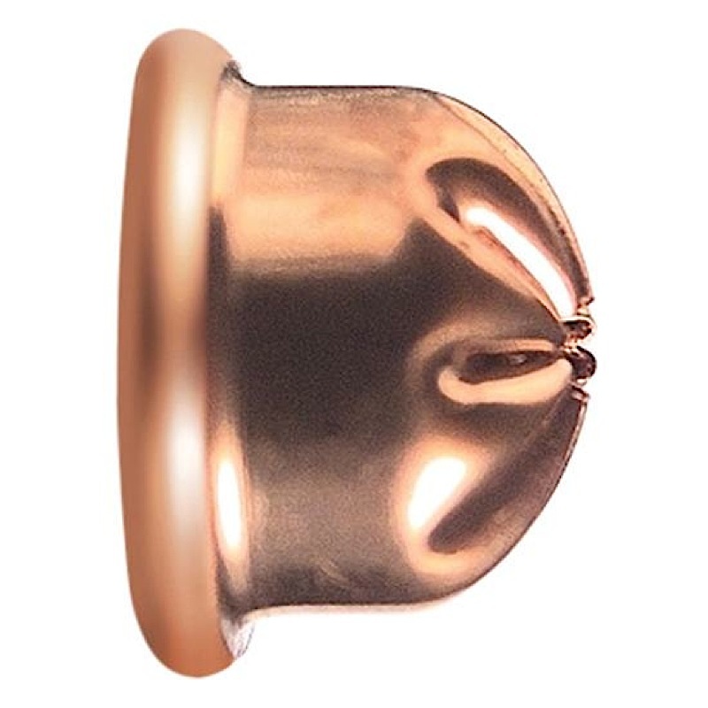 RWS .22 LR 6MM BLANK 100