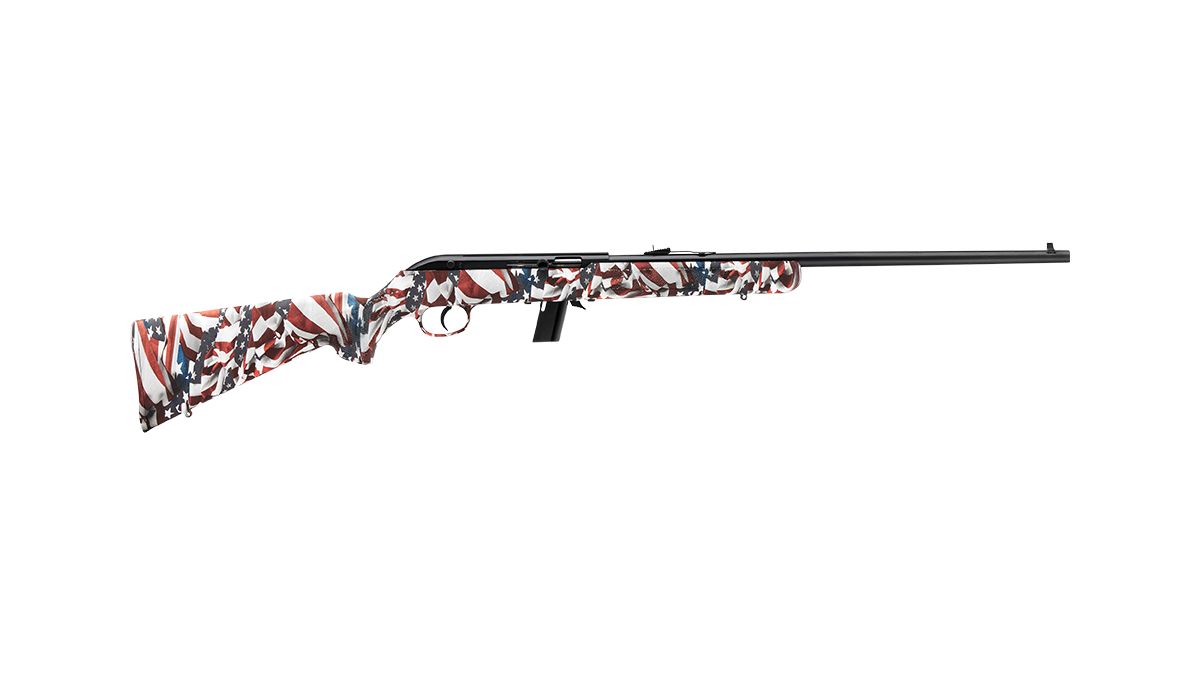 Savage 64F .22LR Semi-auto Rifle 40222 | 10+1 Rounds, 21