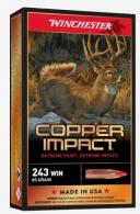 Main product image for Winchester Ammo Copper Impact 243 Win 85 gr Extreme Point Copper 20 Bx/ 10 Cs (Lead Free)