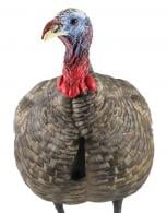 Avian X AVX-AVX8003 LCD Quarter-Strut Jake Turkey Species Multi Color Dura-Rubber - AVXAVX8003