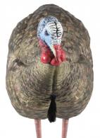 Avian X AVX-AVX8012 LCD Half-Strut Jake Turkey Species Multi Color Dura-Rubber - AVXAVX8012