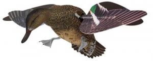 Avian X PowerFlight Hen Multi-Color 1 - AVXPFLHT