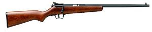 Savage Cub Single-Shot 22LR Bolt-Action Youth Rimfire Rifle - 13700